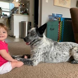 Meet your Posher, Sharron